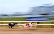 12 September 2009; A general view of the paddypower.com Open 350. Greyhound racing, Shelbourne Park, Dublin. Picture credit: Stephen McCarthy / SPORTSFILE