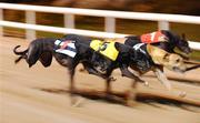 12 September 2009; College Causeway, 5, on its way to winning the paddypower.com Irish Greyhound Derby Final. Greyhound Racing, Shelbourne Park, Dublin. Picture credit: Stephen McCarthy / SPORTSFILE
