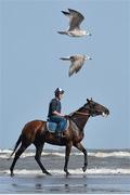 10 September 2015; A jockey and horse ride through the surf before the races begin. Laytown Races, Laytown, Co. Meath. Picture credit: Cody Glenn / SPORTSFILE