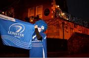 19 December 2015; Leinster supporter Keith Byrne, age 10, from Rathfarnham, Dublin, at the European Rugby Champions Cup, Pool 5, Round 4, clash between Leinster and RC Toulon at the Aviva Stadium, Lansdowne Road, Dublin. Picture credit: Sam Barnes / SPORTSFILE