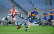 14 February 2015; A flock of Pigeon's take flight during the first half of the game. AIB GAA Football All-Ireland Junior Club Championship Final, John Mitchel's v Brosna. Croke Park, Dublin. Picture credit: Oliver McVeigh / SPORTSFILE