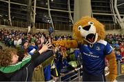 19 December 2015; Leinster supporters with Leo the Lion at the European Rugby Champions Cup, Pool 5, Round 4, clash between Leinster and RC Toulon at the Aviva Stadium, Lansdowne Road, Dublin. Picture credit: Matt Browne / SPORTSFILE