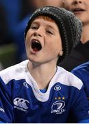 19 December 2015; A Leinster supporter at the European Rugby Champions Cup, Pool 5, Round 4, clash between Leinster and RC Toulon at the Aviva Stadium, Lansdowne Road, Dublin. Picture credit: Stephen McCarthy / SPORTSFILE