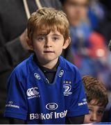 19 December 2015; A Leinster supporter at the European Rugby Champions Cup, Pool 5, Round 4, clash between Leinster and RC Toulon at the Aviva Stadium, Lansdowne Road, Dublin. Picture credit: Stephen McCarthy / SPORTSFILE