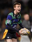 19 December 2015; Action from the Bank of Ireland's Half-Time Mini Games featuring Westmanstown Taggers RFC and Seapoint Dragons RFC at the European Rugby Champions Cup, Pool 5, Round 4, clash between Leinster and RC Toulon at the Aviva Stadium, Lansdowne Road, Dublin. Picture credit: Stephen McCarthy / SPORTSFILE