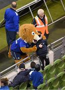 19 December 2015; Leinster mascot Leo the Lion. European Rugby Champions Cup, Pool 5, Round 4, Leinster v RC Toulon. Aviva Stadium, Lansdowne Road, Dublin. Photo by Sportsfile