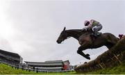 27 December 2015; Long Dog, with Ruby Walsh up, jumps the last 'first time round' on the way to winning the Paddy Power Future Champions Novice Hurdle. Leopardstown Christmas Racing Festival, Leopardstown Racecourse, Dublin. Photo by Sportsfile