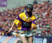 18 June 2000; Chris McGrath of Wexford during the Guinness Leinster Senior Hurling Championship Semi-Final match between Offaly and Wexford at Croke Park in Dublin. Photo by Aoife Rice/Sportsfile