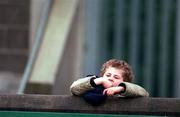 4 February 2001; A young Dublin supporter looks over the wall during the Leinster U21 Football Championship First Round match between Dublin and Wexford at Parnell Park in Dublin. Photo by Aoife Rice/Sportsfile