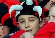 28 January 2001; A Munster rugby supporter during the Heineken Cup Quarter-Final match between Munster and Biarritz at Thomond Park in Limerick. Photo by Ray Lohan/Sportsfile