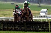 17 February 2001; Youlneverwalkalone, with Conor O'Dwyer up, clears the last on their way to winning the Red Mills Trial Hurdle at Gowran Park Races in Gowran, Kilkenny. Picture credit; Damien Eagers/Sportsfile