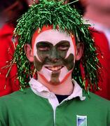 17 February 2001; An Ireland supporter during the Lloyds TSB Six Nations Rugby Championship match between Ireland and France at Lansdowne Road in Dublin. Photo by Matt Browne/Sportsfile