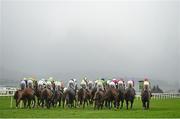 27 December 2015; A general view of the field during the Paddy Power 'So Fast, So Easy iPhone App' Handicap Hurdle. Leopardstown Christmas Racing Festival, Leopardstown Racecourse, Dublin.  Photo by Sportsfile