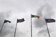 28 December 2015; The Tricolour flies highest as flags flutter in the wind before racing. Leopardstown Christmas Racing Festival, Leopardstown Racecourse, Dublin. Picture credit: Ray McManus / SPORTSFILE