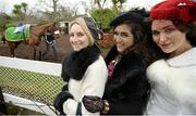 28 December 2015; Sisters, from right, Dervla, Niamh and Sinéad Arthur from Ballybaughal, Co. Dublin at the races. Leopardstown Christmas Racing Festival, Leopardstown Racecourse, Dublin. Picture credit: Cody Glenn / SPORTSFILE