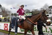 28 December 2015; Davy Russell celebrates after winning  the Squared Financial Christmas Hurdle. Leopardstown Christmas Racing Festival, Leopardstown Racecourse, Dublin. Dublin. Photo by Sportsfile