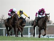 27 December 2015; Don Poli, with Bryan Cooper up, on their way to winning the Paddy Power Steeplechase ahead of First Lieutenant, left, with Davy Russell up, and Foxrock, with A.P. Heskin up. Leopardstown Christmas Racing Festival, Leopardstown Racecourse, Dublin. Picture credit: Cody Glenn / SPORTSFILE