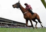 29 December 2015; Acapella Bourgeois, with Jonathon Burke, up, on their way to winning the Copper Face Jacks Maiden Hurdle. Leopardstown Christmas Racing Festival, Leopardstown Racecourse, Dublin. Picture credit: Cody Glenn / SPORTSFILE