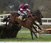 29 December 2015; Nichols Canyon, far side, with Ruby Walsh up, on their way to winning the Ryanair Hurdle with second place Identity Thief with Bryan Cooper. Leopardstown Christmas Racing Festival, Leopardstown Racecourse, Dublin.