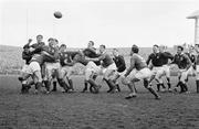 12 March 1966; A general view of a lineout being contested between Ireland and Wales. Five Nations Championship, Ireland v Wales, Lansdowne Road, Dublin. Picture credit; Connolly Collection / SPORTSFILE