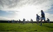 3 January 2016; Laois players warm up before facing UCD. Bord na Mona O'Byrne Cup, Group C, Laois v UCD. McCann Park, Portarlington, Co. Laois. Picture credit: Sam Barnes / SPORTSFILE