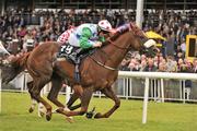 27 September 2009; Toufan Express, with Chris Hayes up, on their way to winning the Irish Stallion Farms Joe McGrath European Breeders Fund Handicap. Curragh Racecourse, Co. Kildare. Picture credit: David Maher / SPORTSFILE