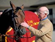 5 October 2009; Trainer John Oxx with Sea the Stars at a celebration event at John Oxx’s Curraghbeg Yard, Curragh, Co. Kildare. Photo by Sportsfile