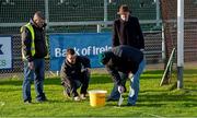 10 January 2016; Ground staff paint white lines around the goal mouth. Bank of Ireland Dr. McKenna Cup, Group B, Round 2, Down v Fermanagh, Páirc Esler, Newry, Co. Down. Picture credit: Mark Marlow / SPORTSFILE