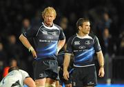 9 October 2009; Leinster captain Leo Cullen, left, and Gordon D'Arcy react to the final whistle. Heineken Cup, Pool 6, Round 1, Leinster v London Irish, RDS, Dublin. Picture credit: Brendan Moran / SPORTSFILE