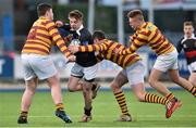 12 January 2016; Robert Whyte, The High School, in action against, from left, Cameron Stewart, Shane Dunne and Conor O'Donovan, De La Salle Churchtown. Bank of Ireland Schools Fr. Godfrey Cup, Round 1, De La Salle Churchtown v The High School, Donnybrook Stadium Donnybrook, Dublin. Picture credit: Cody Glenn / SPORTSFILE