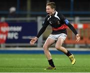 12 January 2016; Finn Connelly, The High School, celebrates at the final whistle. Bank of Ireland Schools Fr. Godfrey Cup, Round 1, De La Salle Churchtown v The High School, Donnybrook Stadium Donnybrook, Dublin. Picture credit: Cody Glenn / SPORTSFILE
