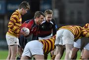 12 January 2016; Referee Sam Holt. Bank of Ireland Schools Fr. Godfrey Cup, Round 1, De La Salle Churchtown v The High School, Donnybrook Stadium Donnybrook, Dublin. Picture credit: Cody Glenn / SPORTSFILE