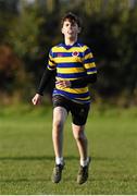 12 January 2016; Rian Kavanagh, Skerries Community College. Bank of Ireland Schools Fr. Godfrey Cup, Round 1, Skerries Community College v CBS Naas, Garda RFC, Westmanstown, Co. Dublin. Picture credit: Ramsey Cardy / SPORTSFILE