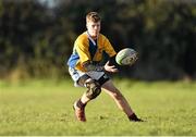 12 January 2016; Conor Kelly, CBS Naas. Bank of Ireland Schools Fr. Godfrey Cup, Round 1, Skerries Community College v CBS Naas, Garda RFC, Westmanstown, Co. Dublin. Picture credit: Ramsey Cardy / SPORTSFILE