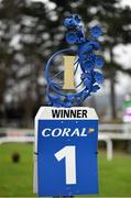 17 January 2016; A general view of Leopardstown Racecourse ahead of Coral.ie Handicap Hurdle Day. Leopardstown Racecourse, Leopardstown, Co. Dublin. Picture credit: Stephen McCarthy / SPORTSFILE