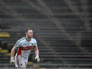 17 January 2016; Rob Hennelly, Mayo. FBD Connacht League Section A Round 3, Roscommon v Mayo. Elvery's MacHale Park, Castlebar, Co. Mayo. Picture credit: David Maher / SPORTSFILE