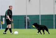 24 October 2009; Referee Vincent Neary tries to coax a dog off the pitch before the start of the game. M Donnelly Interprovincial Football Semi-Final, Ulster v Leinster, Crossmaglen, Co. Armagh. Photo by Sportsfile