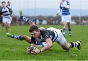 20 January 2016; Luke O'Connor, PBC, scores his side's fourth try. Munster Schools Senior Cup, 1st Round, St. Clements v PBC. Rosbrien, Limerick. Picture credit: Diarmuid Greene / SPORTSFILE