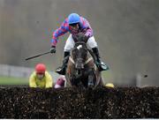21 January 2016; My Murphy, with Robbie Power up, jump the last fence on their way to winning the Goffs Thyestes Handicap Steeplechase. Gowran Park, Gowran, Co. Kilkenny. Picture credit: Seb Daly / SPORTSFILE