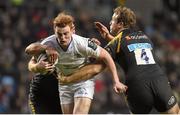 23 January 2016; Cathal Marsh, Leinster, is tackled by George Smith, left, and Joe Launchbury, Wasps. European Rugby Champions Cup, Pool 5, Round 6, Wasps v Leinster. Ricoh Arena, Coventry, England. Picture credit: Stephen McCarthy / SPORTSFILE
