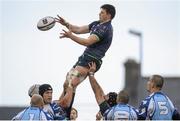 23 January 2016; Eoghan Masterson, Connacht, wins a line-out. European Rugby Champions Cup, Pool 1, Round 6, Connacht v Enisei-STM, Sportsground, Galway. Picture credit: Seb Daly / SPORTSFILE