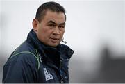 23 January 2016; Connacht head coach Pat Lam. European Rugby Champions Cup, Pool 1, Round 6, Connacht v Enisei-STM, Sportsground, Galway. Picture credit: Seb Daly / SPORTSFILE