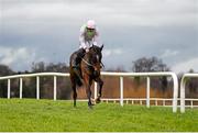 24 January 2016; Douvan, with Ruby Walsh up, on their way to winning the Frank Ward Solicitors Arkle Novice Steeplechase. Leopardstown Racecourse, Leopardstown, Co. Dublin. Photo by Sportsfile