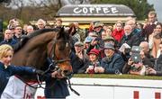 24 January 2016; Racegoers watch as Hurricane Fly is led around the parade ring. Leopardstown Racecourse, Leopardstown, Co. Dublin. Picture credit: Ramsey Cardy / SPORTSFILE