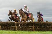 24 January 2016; Faugheen, with Ruby Walsh up, clears the last, first time round, ahead of eventual third Nichols Canyon, left, with Paul Townend up, and eventual second Arctic Fire, with Danny Mullins up, on their way to winning the BHP Insurances Irish Champion Hurdle. Leopardstown Racecourse, Leopardstown, Co. Dublin. Picture credit: Brendan Moran / SPORTSFILE