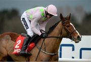 24 January 2016; Faugheen, with Ruby Walsh up, on their way to winning the BHP Insurances Irish Champion Hurdle. Leopardstown Racecourse, Leopardstown, Co. Dublin.  Photo by Sportsfile