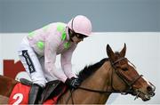 24 January 2016; Faugheen, with Ruby Walsh up, on their way to winning the BHP Insurances Irish Champion Hurdle. Leopardstown Racecourse, Leopardstown, Co. Dublin.  Photo by Sportsfile