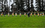 24 January 2016; Dejected Offaly players warm down after the game. Bord na Mona Walsh Cup, Semi-Final, Wexford v Offaly, Kennedy Park, New Ross, Co. Wexford. Picture credit: Sam Barnes / SPORTSFILE