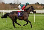 24 January 2016; Pires, with Donagh Meyler up, in action during the Sandyford Handicap Steeplechase. Leopardstown Racecourse, Leopardstown, Co. Dublin. Picture credit: Brendan Moran / SPORTSFILE