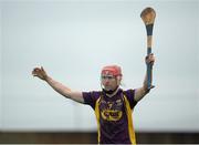 24 January 2016; Diarmuid O'Keefe, Wexford. Bord na Mona Walsh Cup, Semi-Final, Wexford v Offaly, Kennedy Park, New Ross, Co. Wexford. Picture credit: Sam Barnes / SPORTSFILE